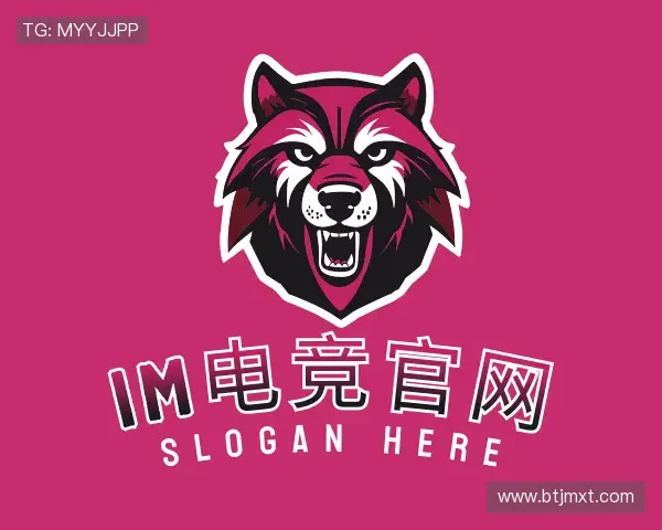 发现IM电竞